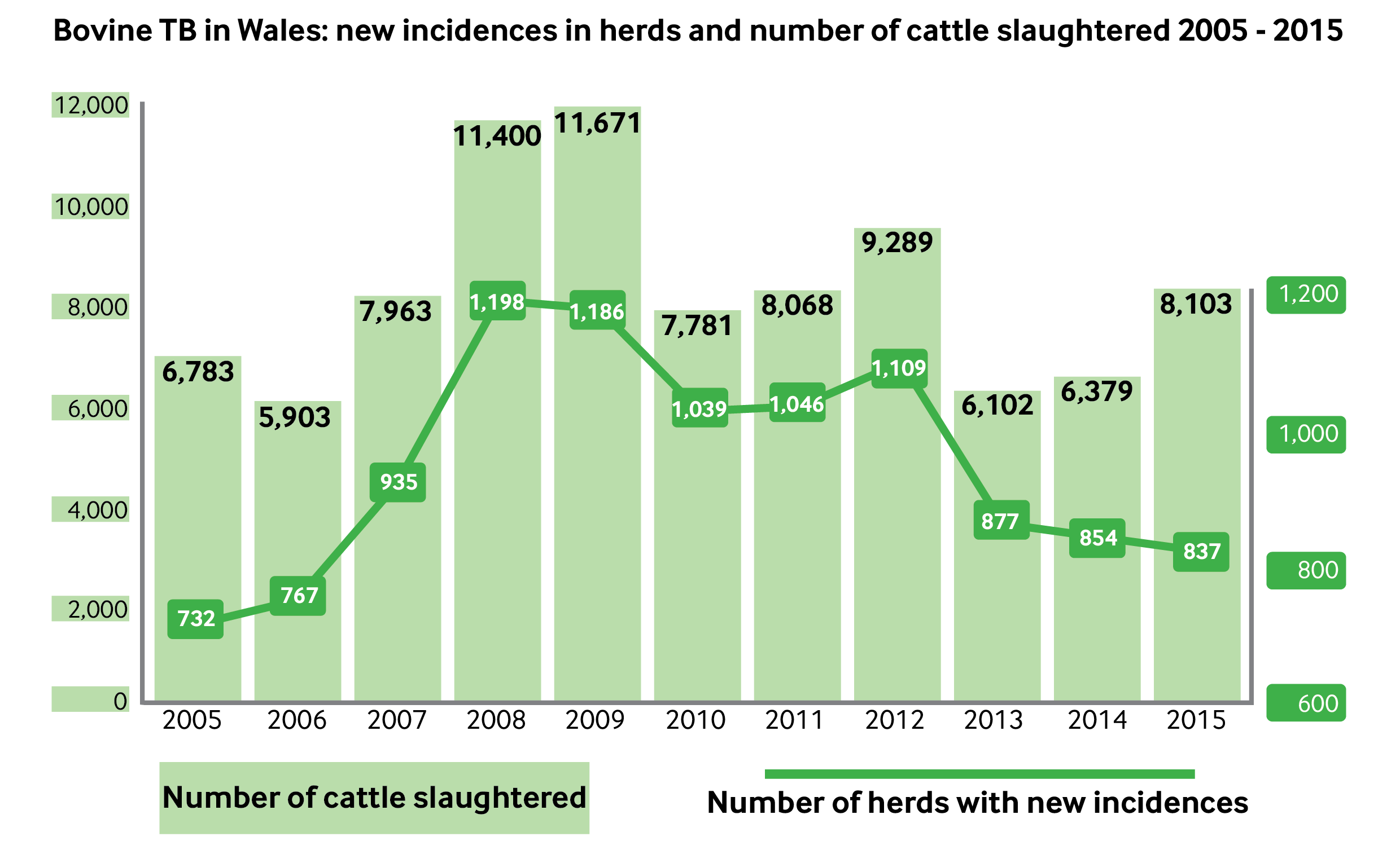 Line chart showing number of new herd incidences overlying bar chart showing number of cattle slaughtered.